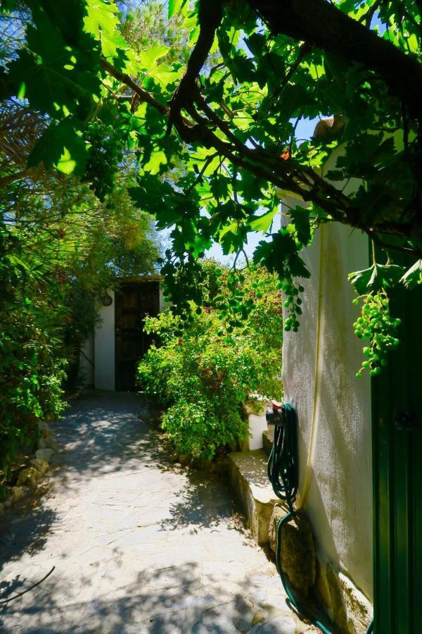 Cortijo Paraiso Charcon Higuera Exteriér fotografie